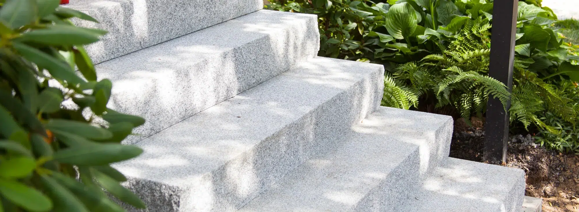 Light gray granite outdoor steps with green plants and ferns on either side